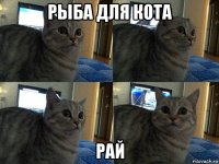 рыба для кота рай