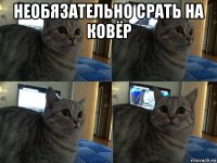 необязательно срать на ковёр 