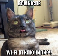 всмысле wi-fi отключили?!!