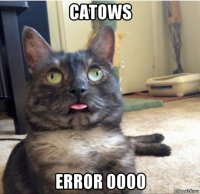 catows error 0000