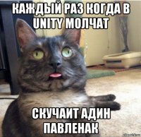 каждый раз когда в unity молчат скучаит адин павленак