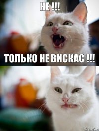 НЕ !!! ТОЛЬКО НЕ ВИСКАС !!!