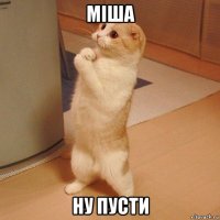 міша ну пусти