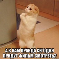  а к нам правда сегодня придут фильм смотреть?