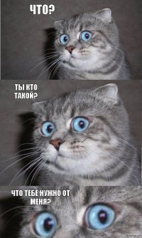 Что? Ты кто такой? Что тебе нужно от меня?