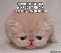 Компания Farpost.
Меня зовут Елисей.
Чем могу вам помочь?