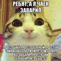 ребят, а я чаек заварил просто чаек, просто зеленый, просто в чайник насыпал и кипятком залил. вы заебали... просто чай зеленый...пить будете?