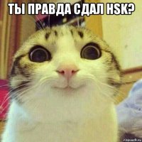 ты правда сдал hsk? 