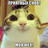 приятных снов! моя фея!