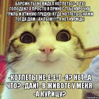 -барсик ты не видел котлеты? -а ты голоден? а просто я принёс тебе курочку гриль и утиную грудку. а где котлеты скажи тогда дам. -ах тыж!!! - а нет курицы -котлеты не-е-е-т -я? нет...а что? -дай! -в животе у меня. -а курицу?