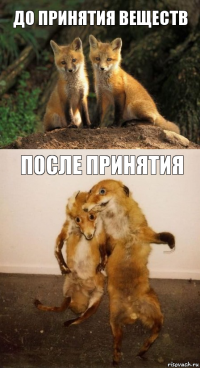 До принятия веществ после принятия