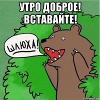 утро доброе! вставайте! 