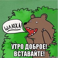  утро доброе! вставайте!