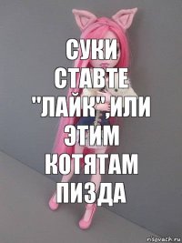 Суки ставте ''Лайк'',или этим котятам пизда