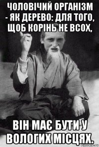 чоловічий організм - як дерево: для того, щоб корінь не всох, він має бути у вологих місцях.