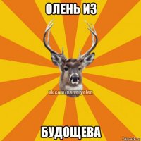 олень из будощева