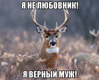 я не любовник! я верный муж!