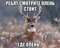 ребят смотрите олень стоит где олень ?