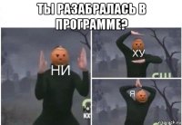 ты разабралась в программе? 