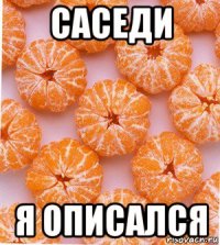 саседи я описался