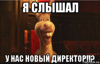 я слышал у нас новый директор!!?