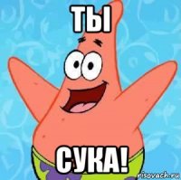 ты сука!