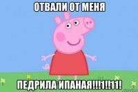 отвали от меня педрила ипаная!!!1!!11!