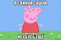 я свинка сашка не ебусь ещё