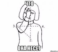 что она несет