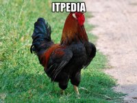 itpedia 