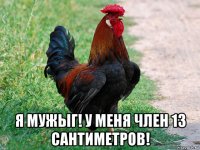  я мужыг! у меня член 13 сантиметров!