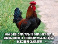  ко-ко-ко! змагары!!! флаг-тряпка!!! анусы лижете полякам!!! батька вас всех пересажает!!!