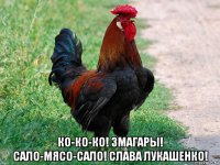  ко-ко-ко! змагары! сало-мясо-сало! слава лукашенко!