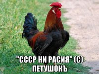  "ссср ни расия" (с) петушокъ