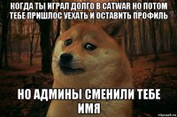 когда ты играл долго в catwar но потом тебе пришлос уехать и оставить профиль но админы сменили тебе имя