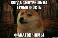 когда смотришь на грамотность фанатов чимы