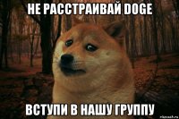 не расстраивай doge вступи в нашу группу