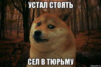 устал стоять сел в тюрьму