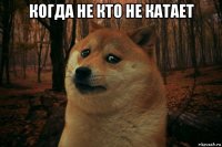 когда не кто не катает 