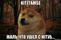 kitjtamse жаль что ушел с ютуб...