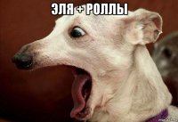 эля + роллы 