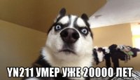  yn211 умер уже 20000 лет