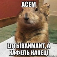 асем ептываимаит, а кафель капец!