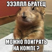 эээллл братец можно поиграть на компе ?