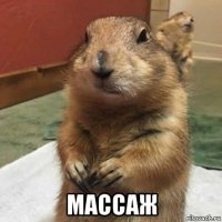  массаж