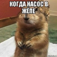 когда насос в жёпе 