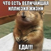 что есть величайшая иллюзия жизни еда!!!