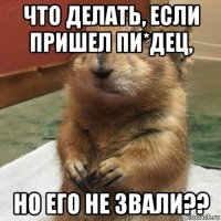 что делать, если пришел пи*дец, но его не звали??