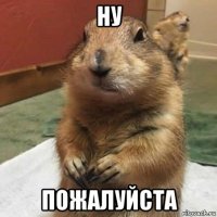 ну пожалуйста