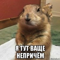  я тут ваще непричём